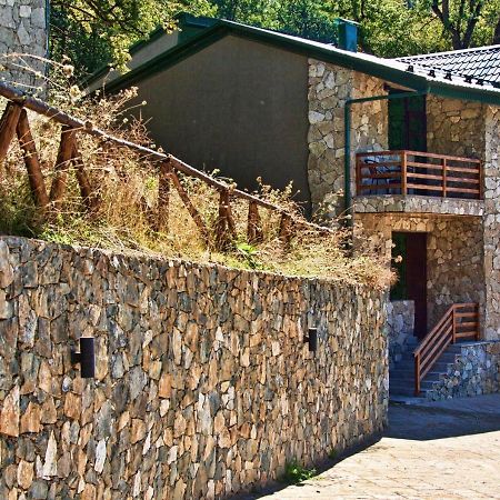 Dilijan Villa 12 外观 照片